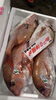 魚の王様！マダイ「今日もセリ有り♫」