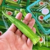 「今年も入荷が始まってるよー！！ 知る人ぞ知る。美味しい「オクラ」秋田県産　JAうご『ひばり野オクラ』です♪♪」