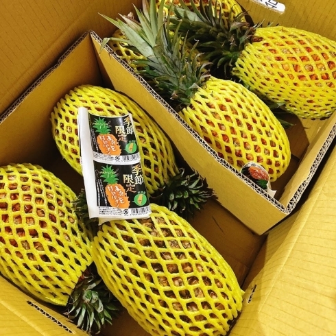 「今話題の「台湾産パイナップル」