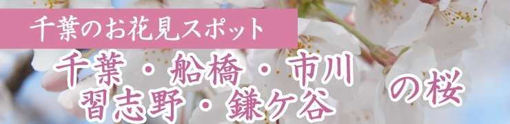 お花見するならここ！　千葉・船橋・市川・習志野・鎌ケ谷の“桜”特集【2022年】