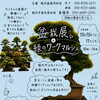 盆栽展と緑のワークマルシェ
