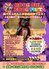 BOO!!BULL BOO!!FESTA in 富士山樹空の森