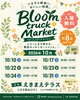 Bloom  track Market