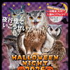ハロウィンナイト2026