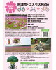 阿波市・コスモスRide