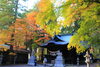 [岡谷市イベント]出早公園もみじ祭り／11月1日～11月23日開催