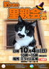 猫さまの里親会