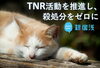 【10/2～12/30】第3弾 TNR活動を推進し、殺処分される猫をなくしたい！・クラウドファンディングの実施