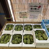 「道の駅木曽福島『信州ぶどう入荷します！』」