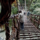 台風接近中にもかかわらず渡る祖谷のかずら橋