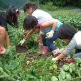 月夜谷ふれあいの里（つきよだにふれあいのさと）【サツマイモ・ジャガイモ堀り】／岐阜県揖斐郡揖斐川町小津987-1