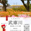 武庫川髭の渡しコスモス園　開園イベント