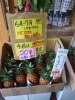 「沖縄ピーチパイン　【八千代店９４号】→八千代道の駅隣」