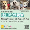 10月25日ちばわん『流山いぬ親会』開催のご案内