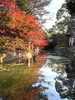 【諸戸氏庭園】秋の一般公開