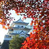 上野公園の紅葉