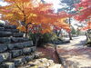 【紅葉】松阪公園（松坂城跡）の紅葉