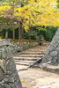 【紅葉】松阪公園（松坂城跡）の紅葉