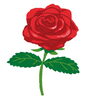 ROSE×ROSEフェア