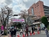4年ぶり大盛況で開催！第31回かつしかさくら祭り［2023年4月2日