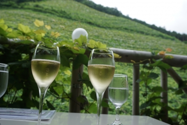 爽やかな季節にぴったりのワインです「【自然派ワイン】フレッシュ＆フローラルな白ワイン」