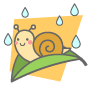 「梅雨　イサキ」