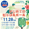はじめてのピックルボール