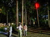 【日暮れの森のかんさつ会】参加者募集中！