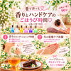 【横浜・桜木町｜11/1(日)】香りとハンドケアのごほうび時間 アロマ＆冬の乾燥ケア体験