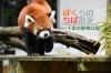 千葉市動物公園へ 職員さんに学ぶおすすめコースまとめ ぼくらのちば散歩 まいぷれ 千葉市