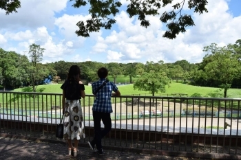 思わず見とれてしまうほどの光景。圧巻です！