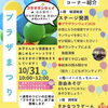 【子ども・子育てプラザ】10月31日(土)　プラザまつり