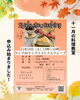 【11/14】Syokusoucooking 11月の料理教室（※11/5締切）