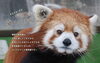 秋の遊園地まつり