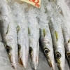 「魚魚市場鮮魚コーナーおすすめは「カマス・カレイ」です♪」