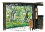8・豊島区立目白庭園
目白の静かな住宅地に佇む憩いの日本庭園。