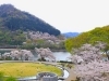 水の苑池　芝生広場
