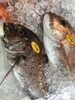 「魚魚市場鮮魚コーナーおすすめは「コロダイ」です♪」