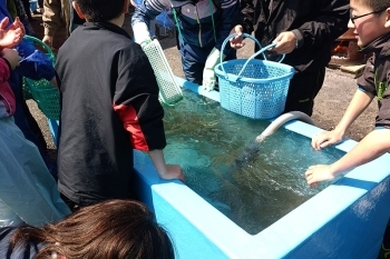 貝洗い用の海水です。採った貝は、こちらで砂を洗い流すことができます