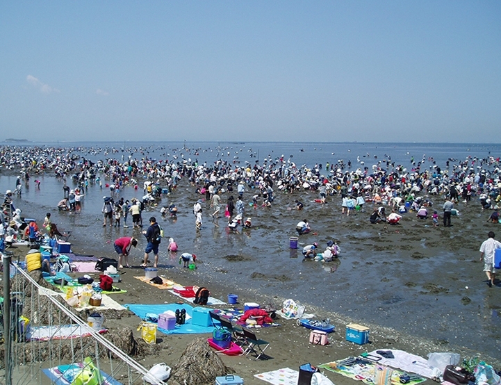 富津漁業協同組合 富津海岸 潮干狩入り浜券 大人2枚 小人1枚 網袋付 ふるさと納税で日本を元気に 千葉県富津市 まいぷれ 木更津 君津 富津 袖ケ浦