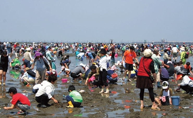 潮干狩入り浜券（大人2枚、小人1枚）<br>大人は約2kg入る網袋、小人(小学生以上中学生未満)は約1kg入る網袋付き<br><br>※規定の重さ以上を持ち帰る場合は、超過料金がかかります。