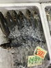 「魚魚市場鮮魚コーナーおすすめは「キンメダイ」です♪」