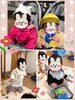 ベビちゃんは日光浴とお部屋遊びを楽しみました♡「今日はトトロの公園へ♡【交野市・小規模保育園】」