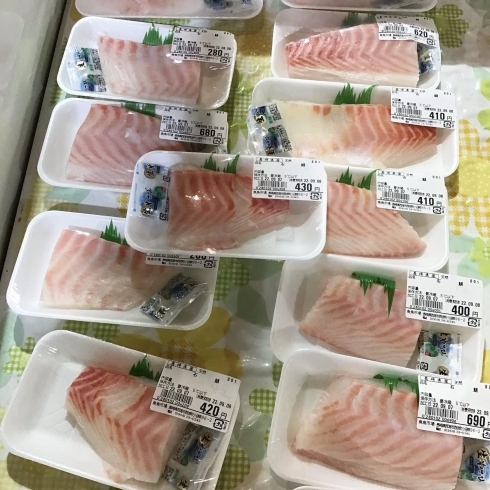 魚魚市場鮮魚コーナーおすすめは シマイサキ です 魚魚の宿のニュース まいぷれ 佐世保 魚魚市場鮮魚コーナーおすすめは シマイサキ です 魚魚の宿のニュース まいぷれ 佐世保