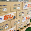 「福島県産　「幸水梨」の入荷が始まっていますよーー」