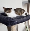 お父さんがいるんだもん！それでいいの…エラちゃん「猫ちゃんは家族です」