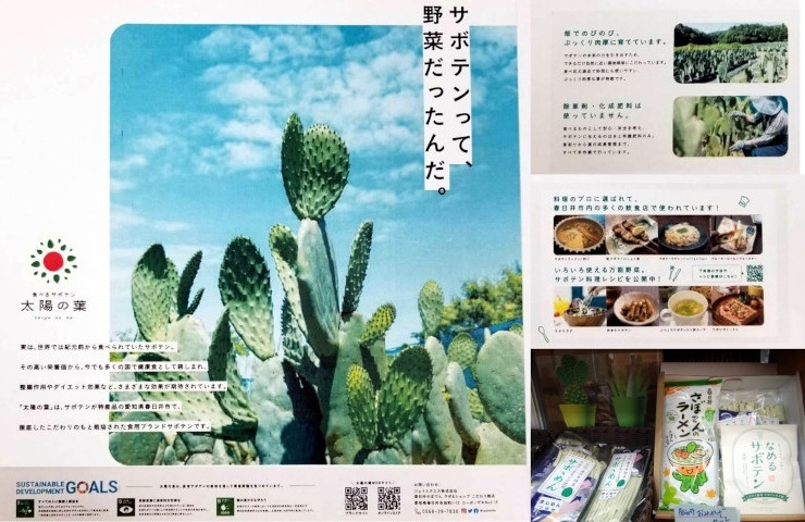 旭町 サボテンに携わって15年以上の縁の下の力持ち この店があるからサボテンの地元特産品が増えたといって過言ではない 春日井の気になるスポット おもしろい商品 隠れた魅力を発見 ちょこっと春日井 編集部員が気になったスポットや面白い物をご 旭町 サボテンに携わって15年以上の縁の下の力持ち この店があるからサボテンの地元特産品が増えたといって過言ではない 春日井の気になるスポット おもしろい商品 隠れた魅力を発見 ちょこっと春日井 編集部員が気になったスポットや面白い物をご