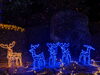 「【新居浜市:立川町】マイントピア別子のwinter Illumination」