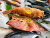 「魚魚市場鮮魚コーナーおすすめは「ヒラス・カレイ」です♪」