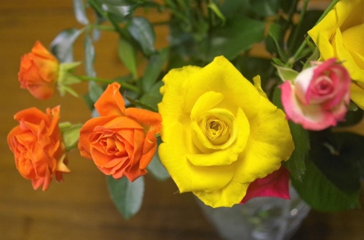 斉藤ローズ 大切な人に贈りたい 生産者直送のバラの花束 ふるさと納税で日本を元気に 伊奈町 いなナビ 伊奈町